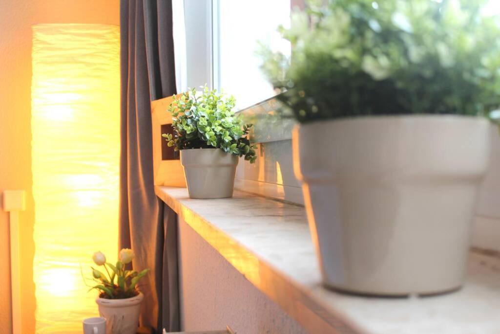 Apartment Bella ケムニッツ エクステリア 写真